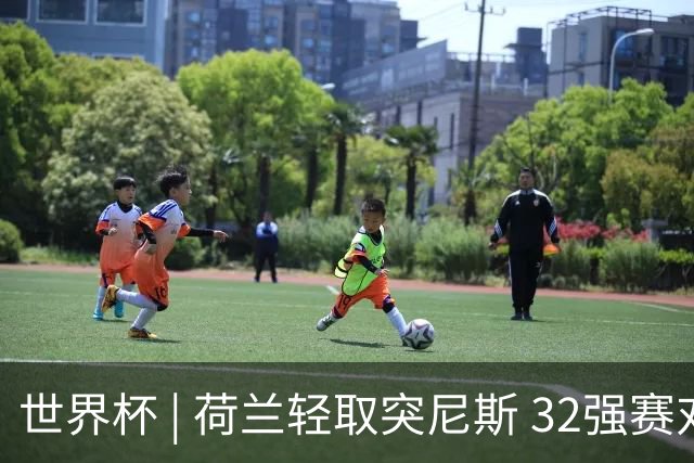 世界杯 | 荷兰轻取突尼斯 32强赛对阵摩洛哥