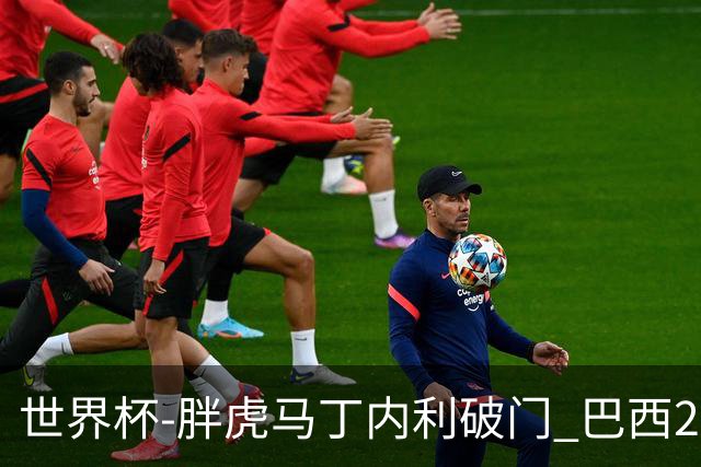 世界杯-胖虎马丁内利破门 巴西2-1逆转读秒绝杀日本